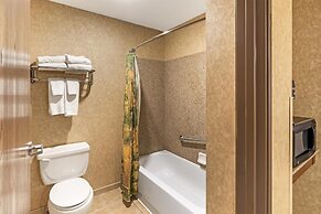 Best Western Plus Kelly Inn & Suites