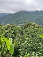 Guesthouse Liam's Suan Dok Mai