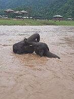 Guesthouse Liam's Suan Dok Mai