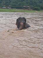 Guesthouse Liam's Suan Dok Mai