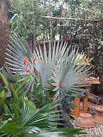 Guesthouse Liam's Suan Dok Mai