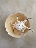 Brothers Bungalows Balangan