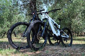 A3Passi Agriturismo tra gli Ulivi