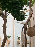 Riad Les Orangers d'Alilia