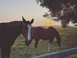 Rocking R Guest Ranch