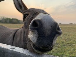 Rocking R Guest Ranch