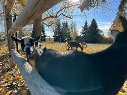 Rocking R Guest Ranch