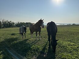 Rocking R Guest Ranch