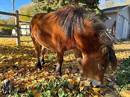 Rocking R Guest Ranch