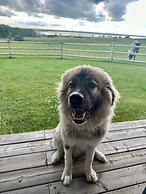 Rocking R Guest Ranch