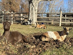 Rocking R Guest Ranch