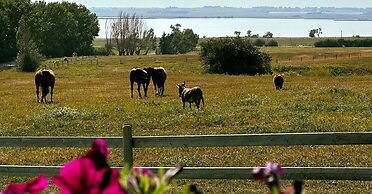 Rocking R Guest Ranch