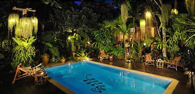 Fern Paradise