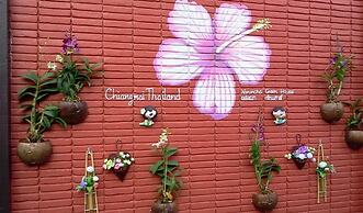 Naruncha Green House