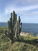 Capitão n'Areia Pousada