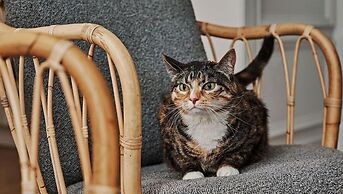 Kimpton Brice Hotel by IHG