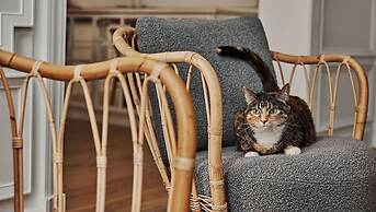 Kimpton Brice Hotel by IHG