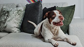 Kimpton Brice Hotel by IHG