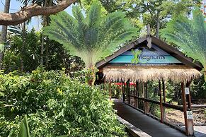 Magnums Airlie Beach
