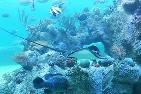 Magnums Airlie Beach