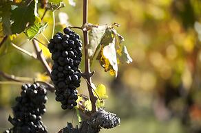 Hampton Inn & Suites Roanoke Airport