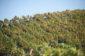 Hampton Inn & Suites Roanoke Airport