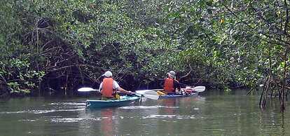 Iguana Lodge Beach Resort