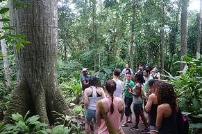 Iguana Lodge Beach Resort