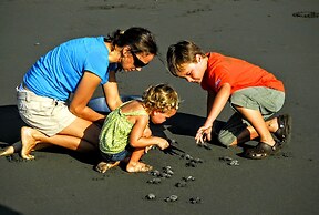 Iguana Lodge Beach Resort