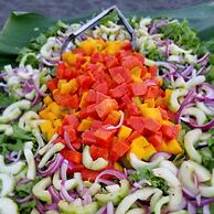 Iguana Lodge Beach Resort