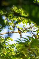 Bolontiku Boutique Hotel, Member of the Cayuga Collection