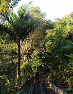 Bolontiku Boutique Hotel, Member of the Cayuga Collection