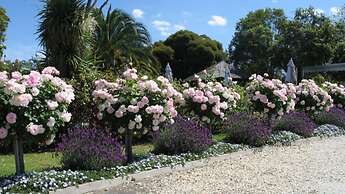 Wine Village Motor Inn