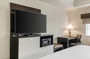 Best Western Plus JFK Inn & Suites