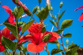 Hotel Residence Cormoran