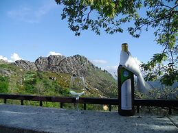 Miradouro Do Castelo