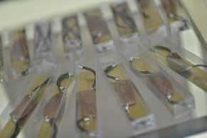 Zodiak Sutami by KAGUM Hotels