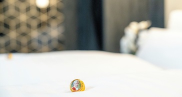 PLAZA INN Salzburg City