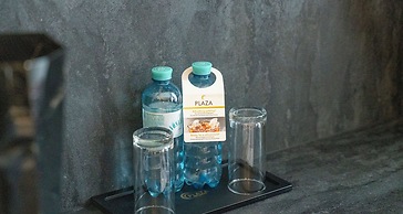 PLAZA INN Salzburg City