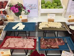 Althea Kalamies Luxury Villas By Louis Hotels