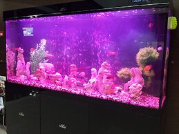 Royal Residence Hotel & Spa