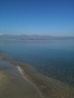 Il Falco e il Gabbiano B&B