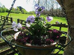 Christchurch City & Country Cottages - Clarence Cottage