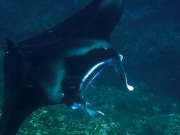 Ishigaki Seaside Hotel