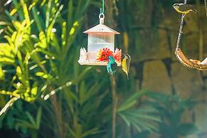 VELINN Feiticeira Praia Hotel