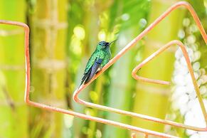 VELINN Feiticeira Praia Hotel