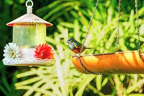 VELINN Feiticeira Praia Hotel