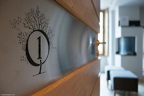 Les Loges Annecy Vieille ville