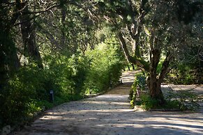 Agriturismo Costantino