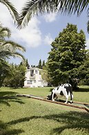 Agriturismo Costantino